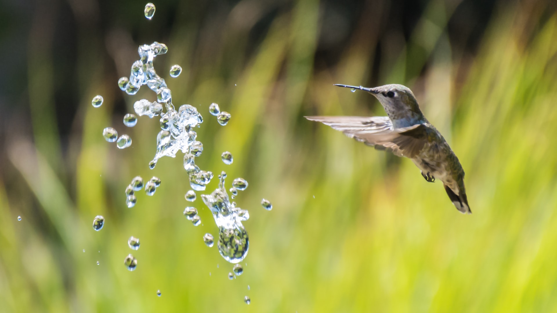 Giornata mondiale dell’acqua 2023: oggi è il World Water Day