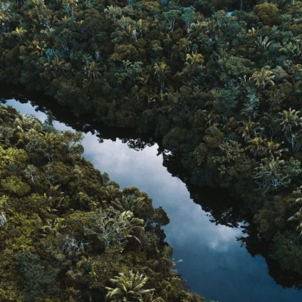 Rinnovabili • Nesso tra deforestazione e piogge: una condanna per le foreste tropicali?