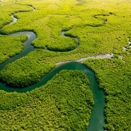 Rinnovabili • Deforestazione dell’Amazzonia: a marzo 2023, +14%