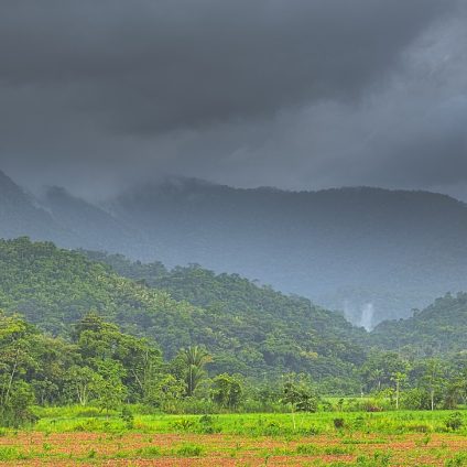 Rinnovabili • Foreste del Centro America: perderanno il 62% dei servizi ecosistemici al 2100