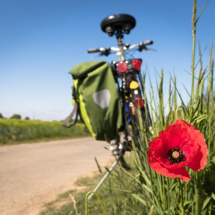 Rinnovabili • Turismo in bicicletta: l’Italia è un paese per le due ruote