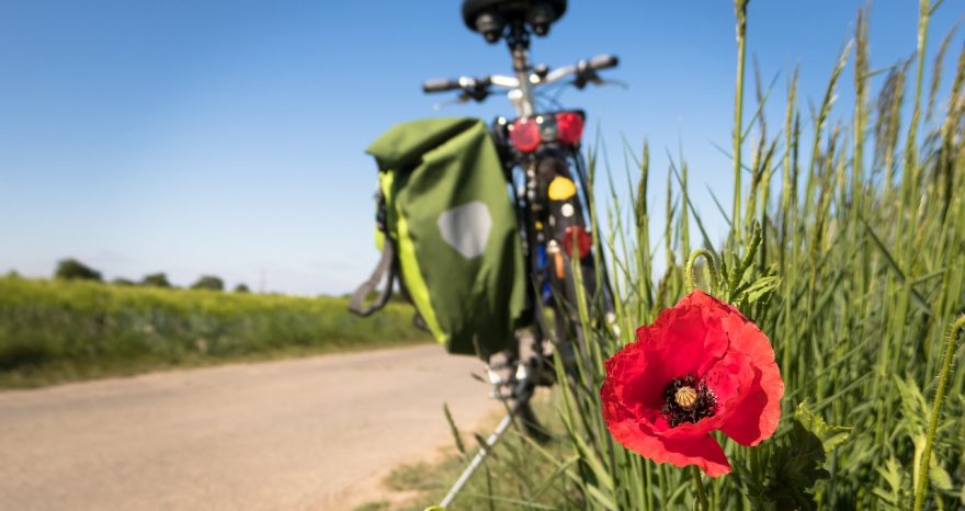 Rinnovabili • Turismo in bicicletta: l’Italia è un paese per le due ruote