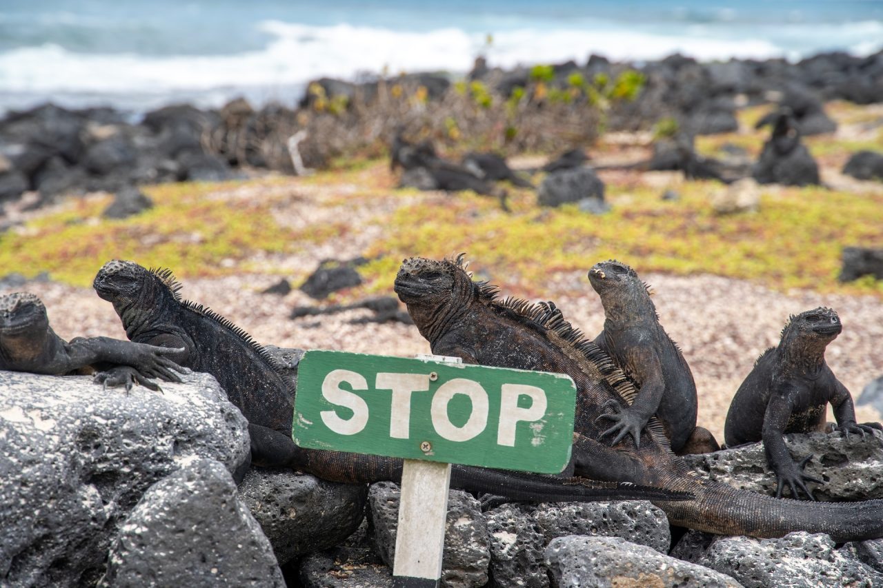 Rinnovabili • Accordo debt-for-nature: 650 mln $ per proteggere le Galapagos