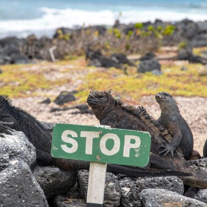 Rinnovabili • Accordo debt-for-nature: 650 mln $ per proteggere le Galapagos