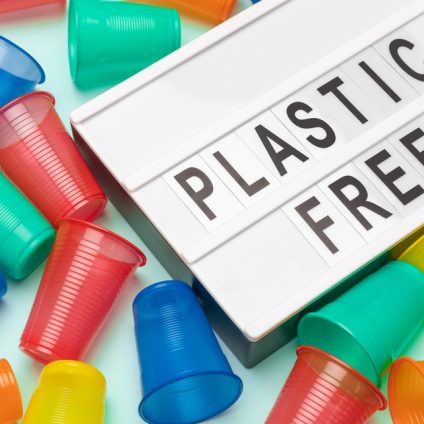 Rinnovabili • giornata internazionale senza plastica