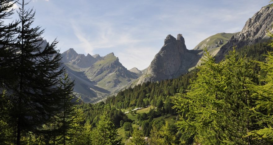 Rinnovabili • Ripristino della natura: in UE 1 euro investito ne genera 38