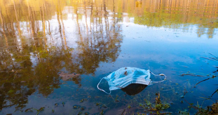 Rinnovabili • danni della plastica sulla salute