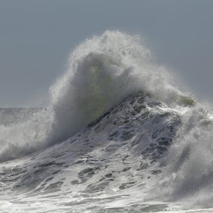 Rinnovabili • trattato sull'alto mare