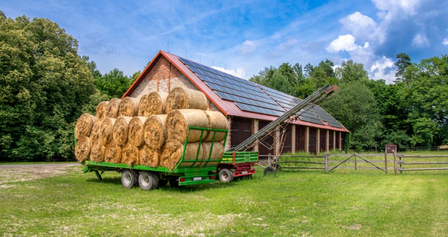 Rinnovabili • Bando Parco Agrisolare