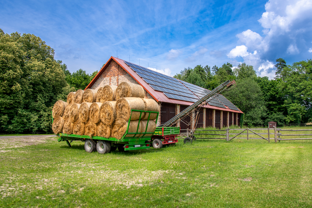 Rinnovabili • Bando Parco Agrisolare