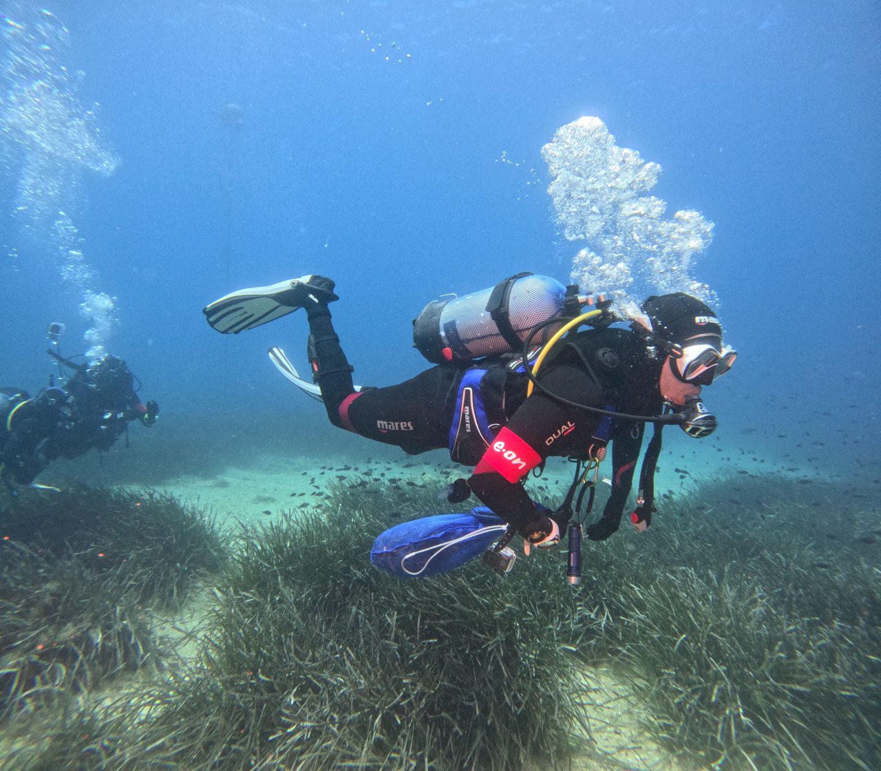 Rinnovabili • Posidonia oceanica