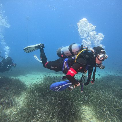 Rinnovabili • Posidonia oceanica