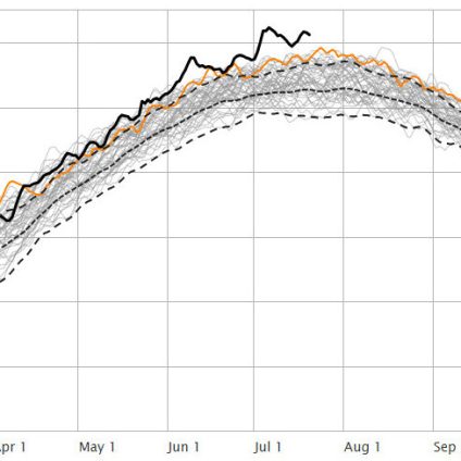 Rinnovabili • Riscaldamento globale: luglio 2023 verso il record assoluto