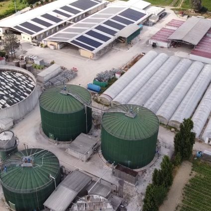 Rinnovabili • biometanolo da biogas