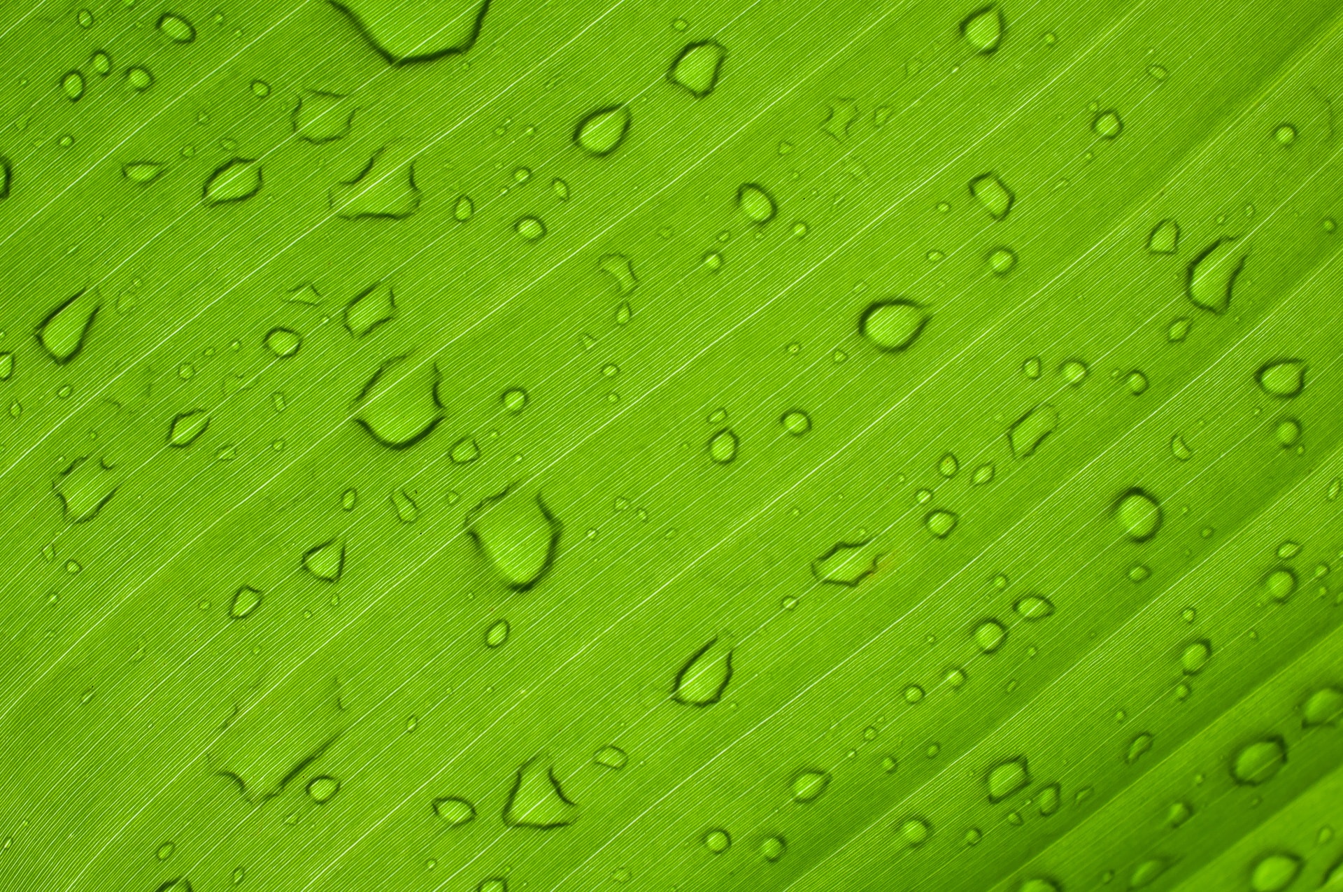 Costo livellato idrogeno: verde batte blu da 1 a 3 anni prima