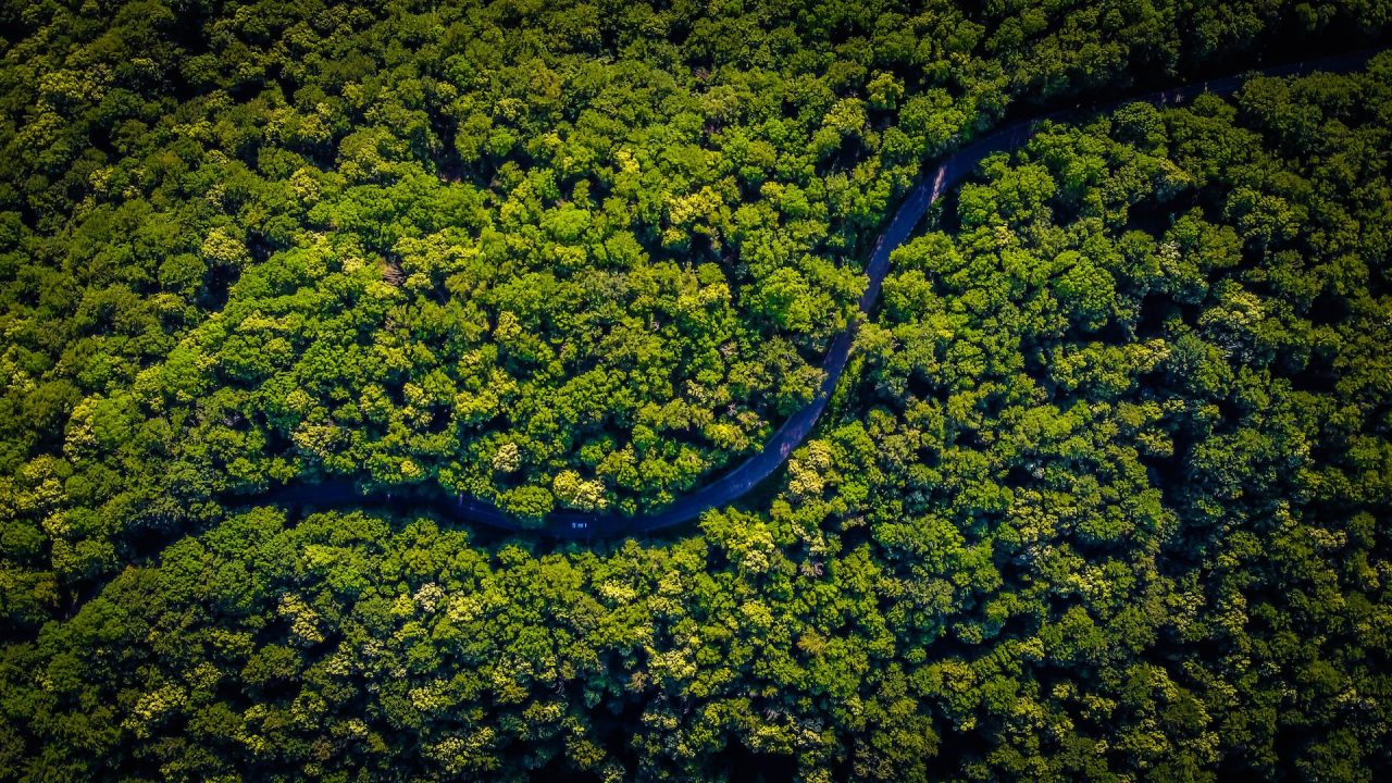 Rinnovabili • Deforestazione dell’Amazzonia: il ruolo delle banche globali