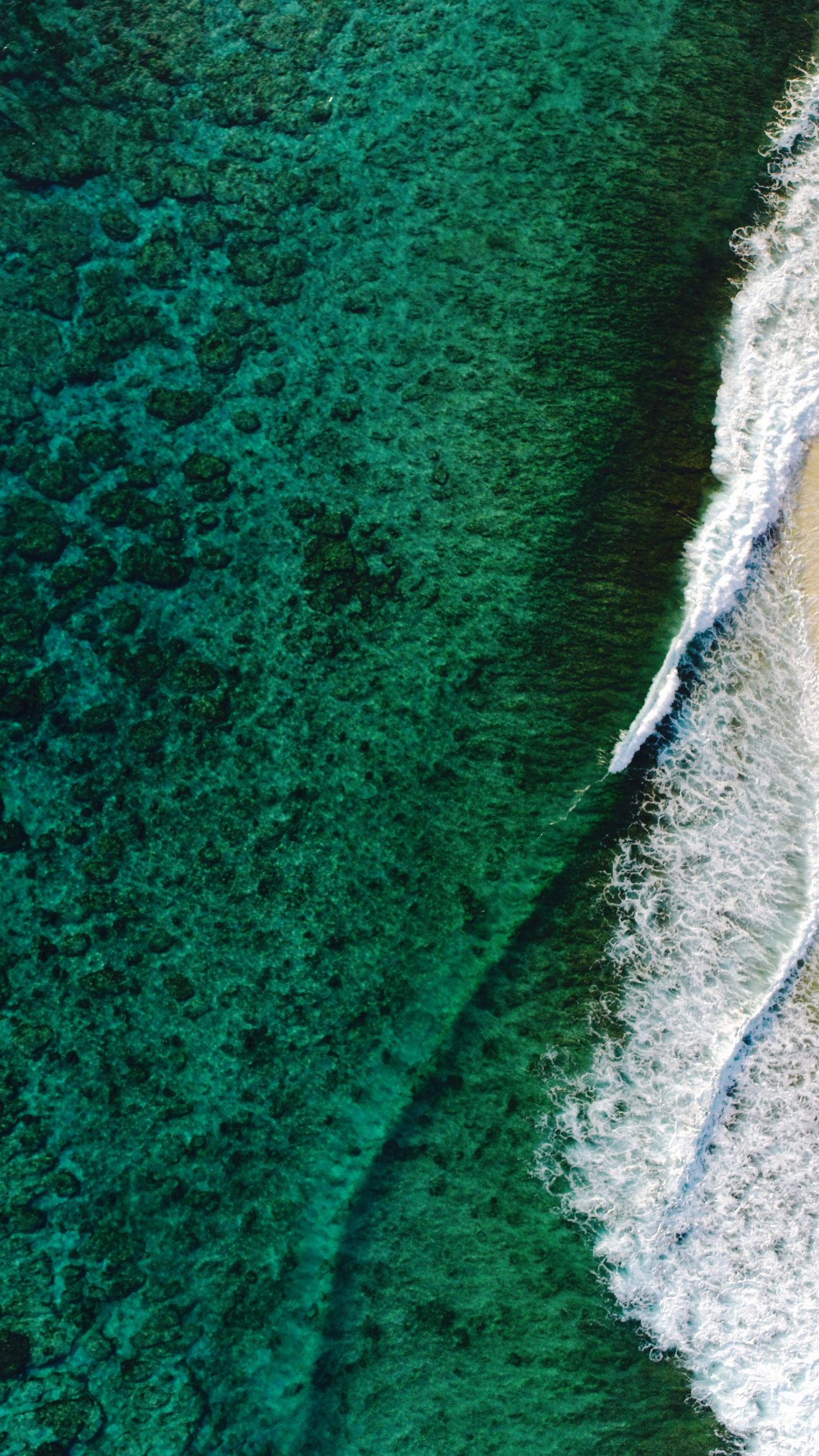 Rinnovabili • Oceani stanno cambiando colore: sempre più verdi