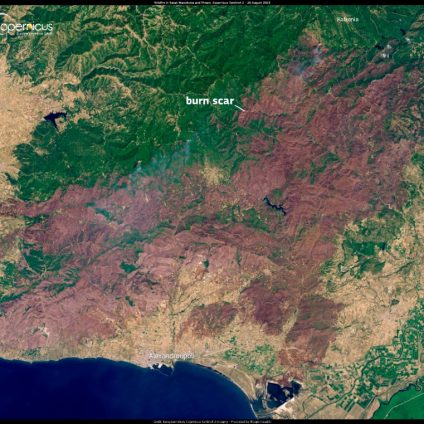 Rinnovabili • Incendio più grande d’Europa: in Grecia il rogo distrugge 810 km2