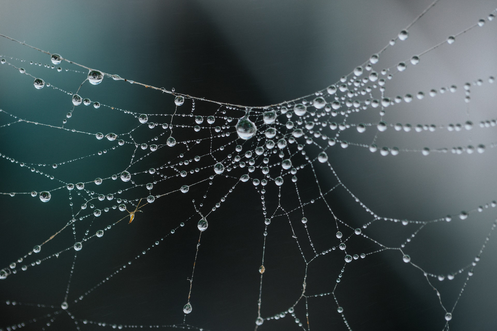 Estrarre acqua dall'aria