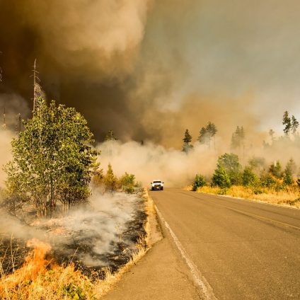 Rinnovabili • relazioni tra incendi e cambiamento climatico