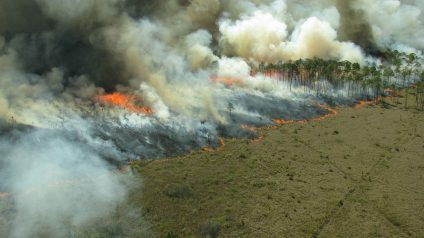 Rinnovabili • Tipping point dell’Amazzonia: il problema sono gli incendi