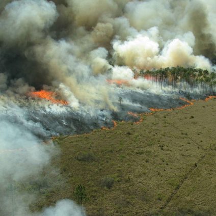 Rinnovabili • Tipping point dell’Amazzonia: il problema sono gli incendi