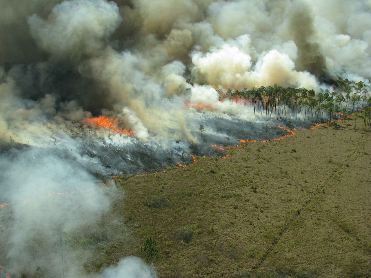 Rinnovabili • Tipping point dell’Amazzonia: il problema sono gli incendi