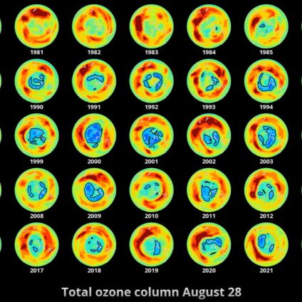 Rinnovabili • Buco dell’ozono: l’impatto inaspettato del vulcano Hunga-Tonga