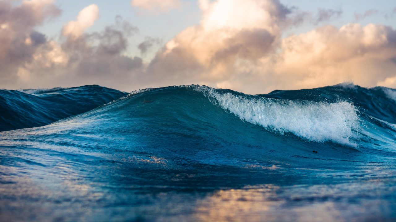 Rinnovabili • Gap emissioni: il ruolo degli oceani per raggiungere gli 1,5 gradi