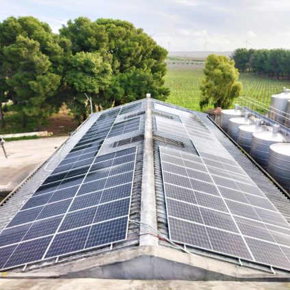 Rinnovabili • fotovoltaico agricolo