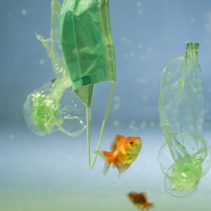 Rinnovabili • bioplastiche in mare