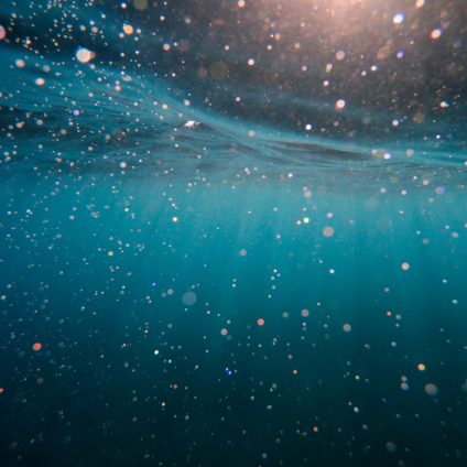 Rinnovabili • Perdita di habitat oceani: sforare 2°C è una condanna che dura secoli