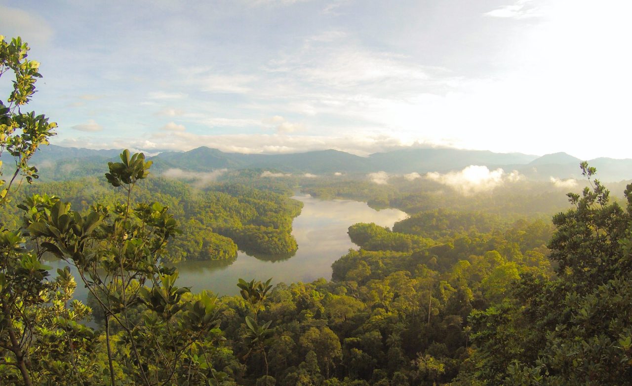 Rinnovabili • Tutela foreste pluviali: più cooperazione tra Amazzonia, Congo e sud-est Asia