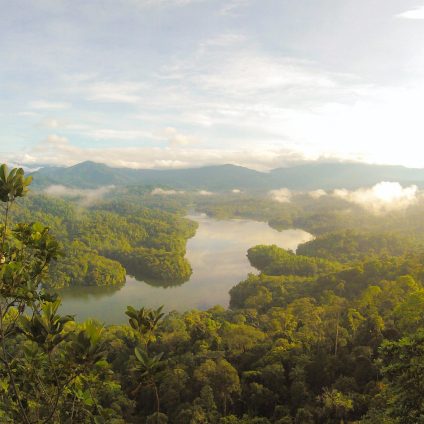 Rinnovabili • Tutela foreste pluviali: più cooperazione tra Amazzonia, Congo e sud-est Asia