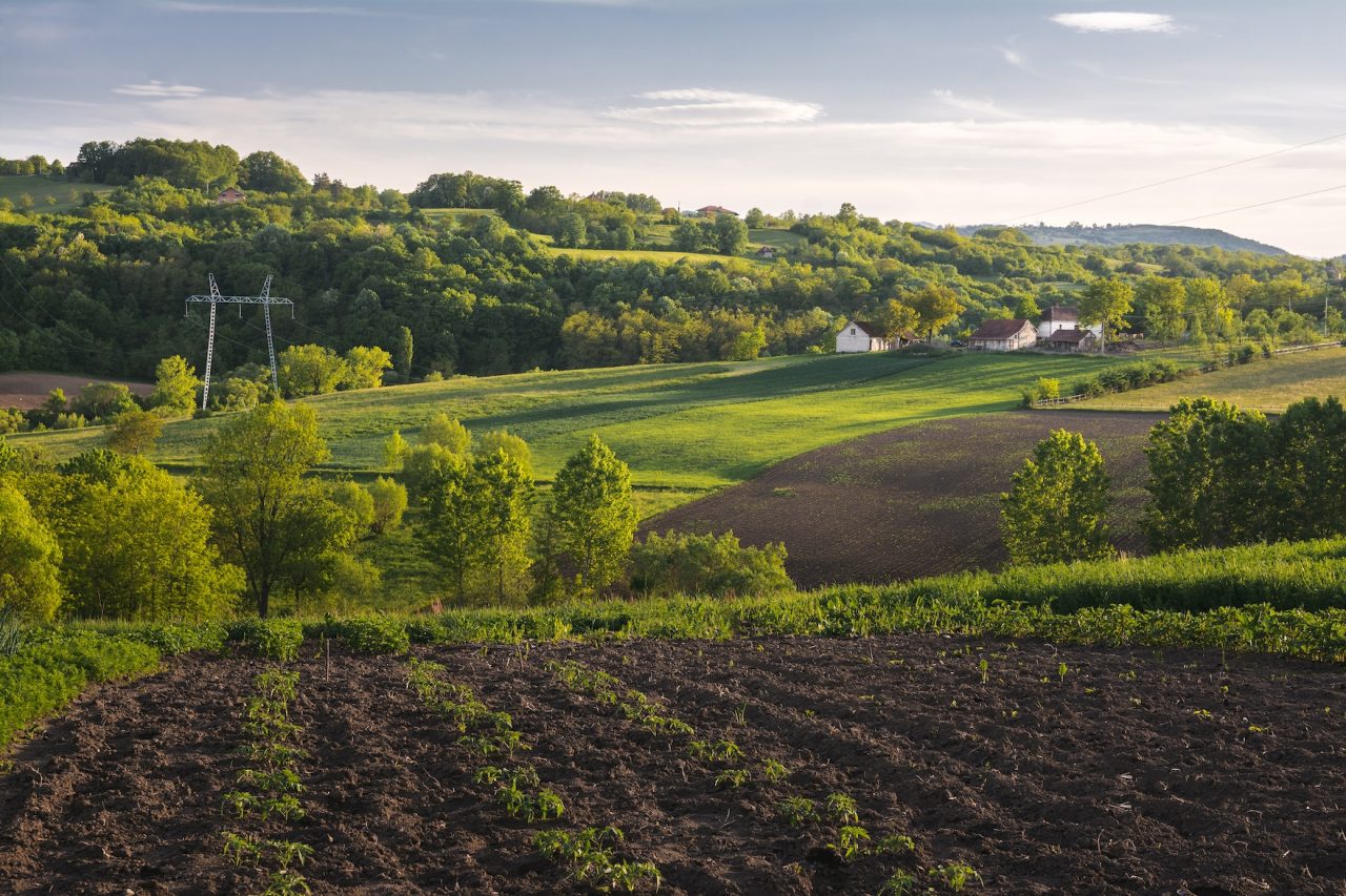 Rinnovabili • agroalimentare italiano