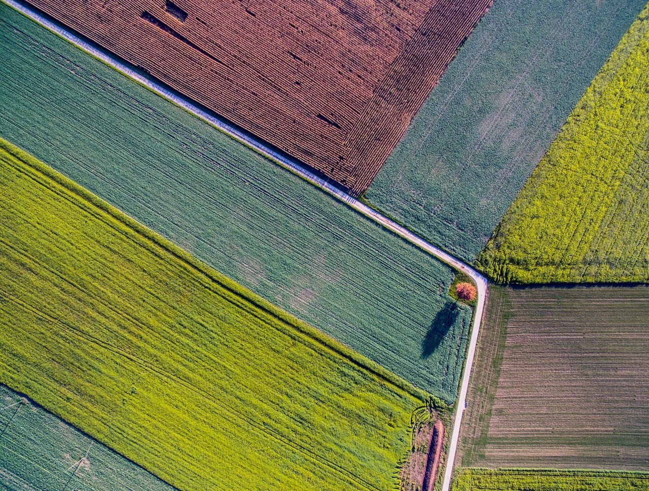 Rinnovabili • Legge Ripristino Natura: sì finale alla Nature Restoration Law