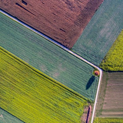 Rinnovabili • Legge Ripristino Natura: sì finale alla Nature Restoration Law