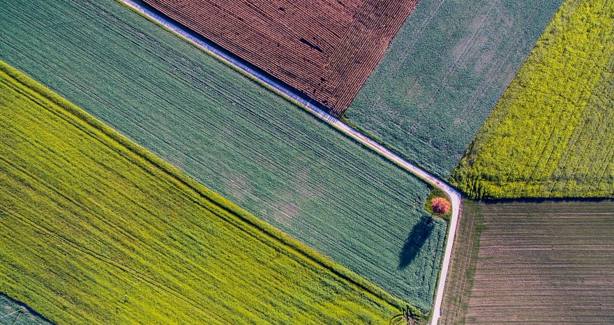 Rinnovabili • Legge Ripristino Natura: sì finale alla Nature Restoration Law