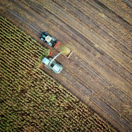 Rinnovabili • agricoltura cambiamento climatico