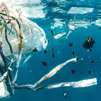 Rinnovabili • trattato globale sulla plastica