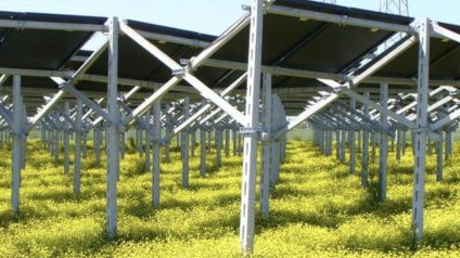 Rinnovabili • Decreto Agrivoltaico Innovativo