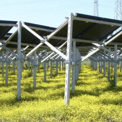 Rinnovabili • Decreto Agrivoltaico Innovativo