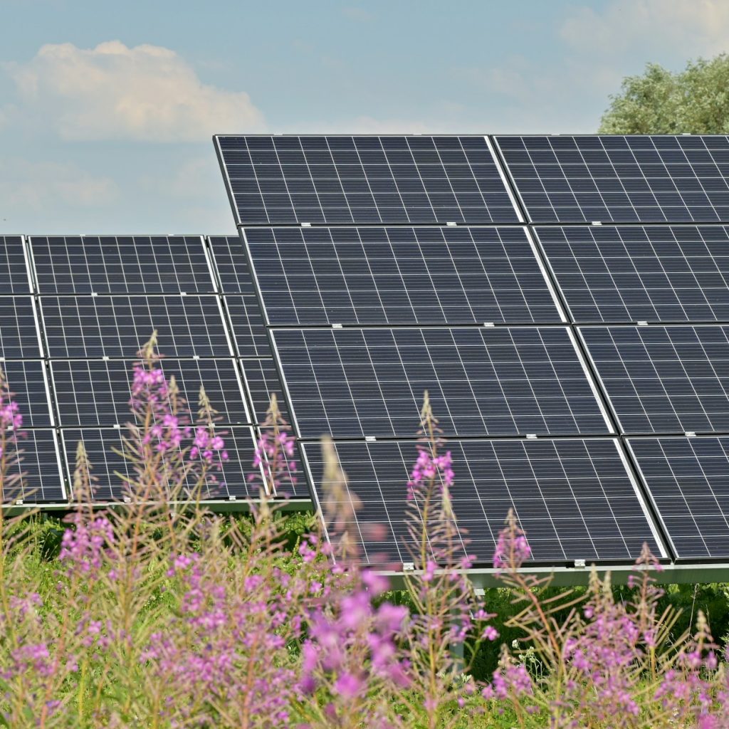 fotovoltaico italiano