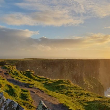 Rinnovabili • Diritti della natura in costituzione: l’Irlanda verso il referendum?