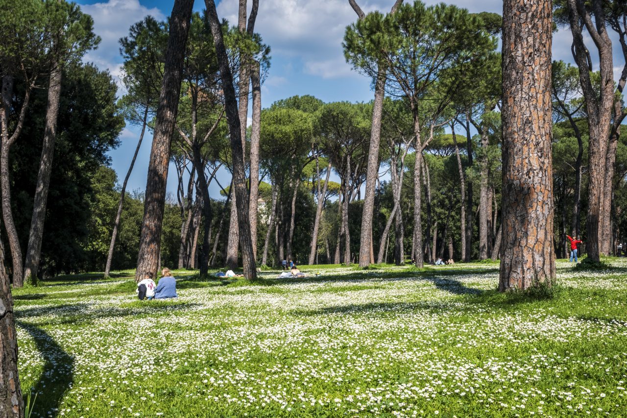 Rinnovabili • Legge sul verde urbano: ASviS, serve nuova “cultura della natura in città”