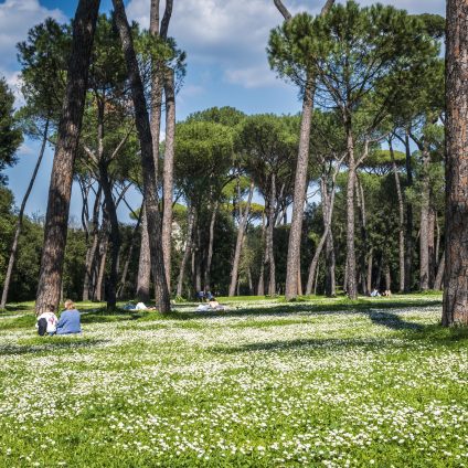 Rinnovabili • Legge sul verde urbano: ASviS, serve nuova “cultura della natura in città”