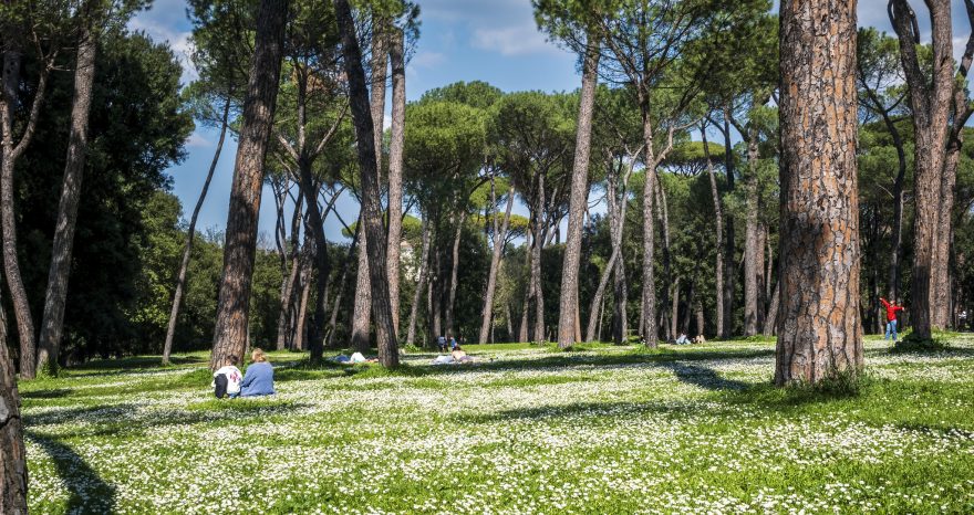 Rinnovabili • Legge sul verde urbano: ASviS, serve nuova “cultura della natura in città”