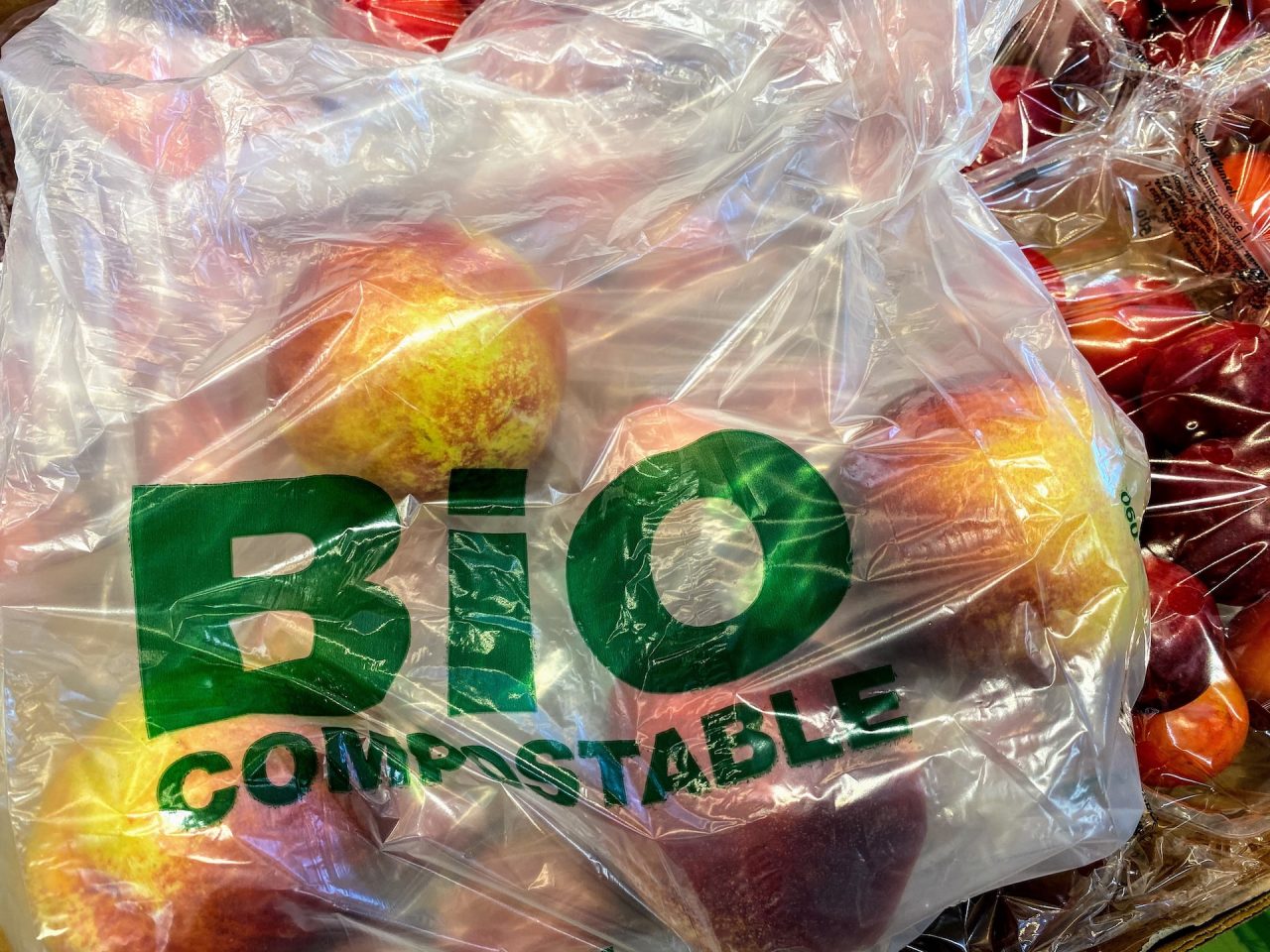 Rinnovabili • bioplastiche compostabili