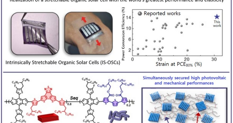 Rinnovabili • fotovoltaico elastico organico