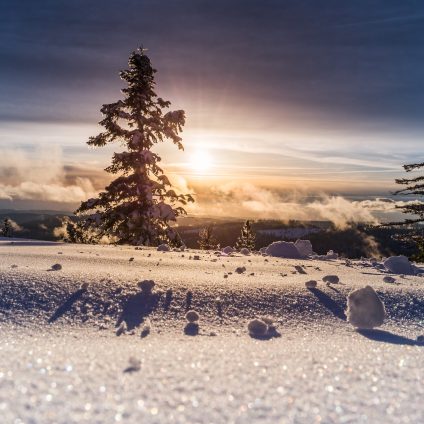 Rinnovabili • Perdita di neve: il climate change rosicchia il 10-20% ogni decennio